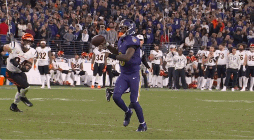 GIF 11 7 2024 10 20 39 PM.gif