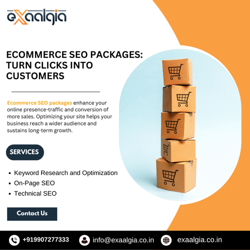 Ecommerce SEO Packages: Turn Clicks into Customers.png