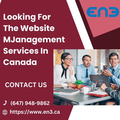 Looking For The Website Management Services In Canada.png