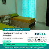 Co-Living PG Bangalore