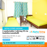 Searching for a cozy coliving PG in Kadubeesanahalli?