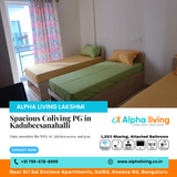 Searching for a coliving PG near Kadubeesanahalli?