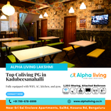 Looking for a top coliving PG near Kadubeesanahalli?