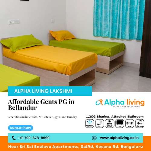 Searching for a comfortable gents PG in Bellandur?