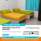 Searching for a comfortable gents PG in Bellandur?