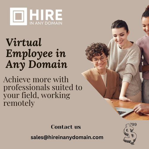 Virtual Employee in Any Domain.jpg