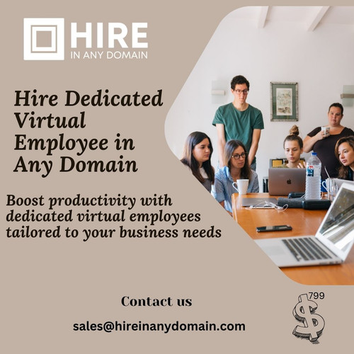 Hire Dedicated Virtual Employee in Any Domain.jpg