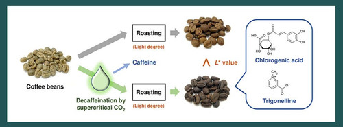 decaf2404.jpg