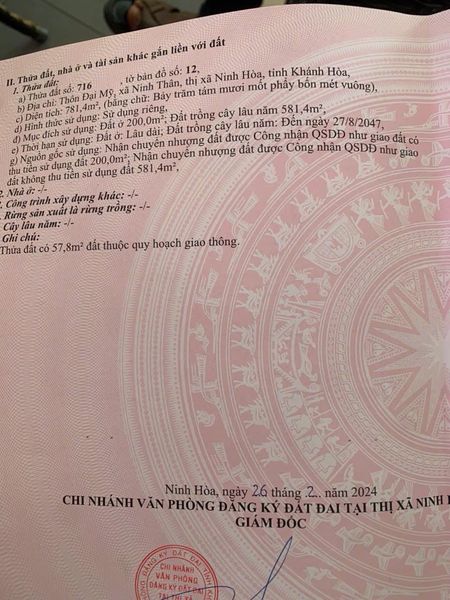 465287629 2002982116870193 7176706666312771302 n.jpg