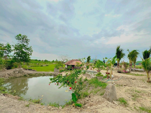 465672722 1671785926721686 4332109325706376604 n.jpg