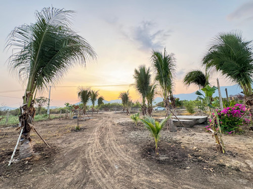 465572330 1671785946721684 3876969706510937672 n.jpg