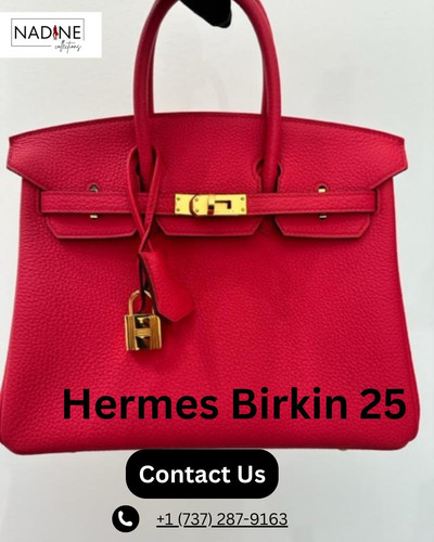 Hermes Birkin 25.jpg