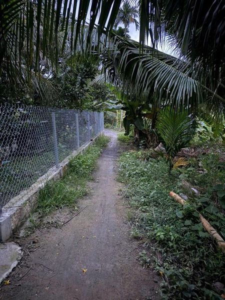 465723914 3445935565712832 5640998897127488178 n.jpg