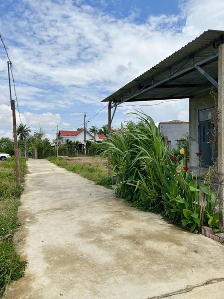 465775793 3449781781998174 259340408541015575 n.jpg