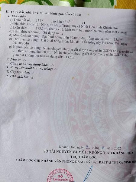 465786925 438835032568569 5975312680516042845 n.jpg