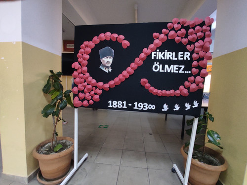 IMG 20241108 081039.jpg