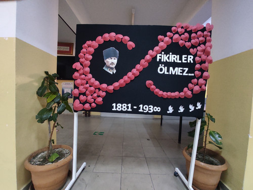 IMG 20241108 081036.jpg