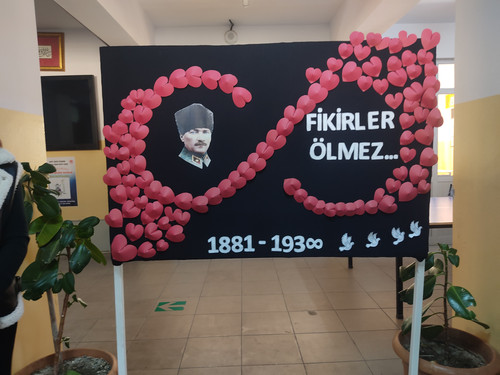 IMG 20241108 114532.jpg