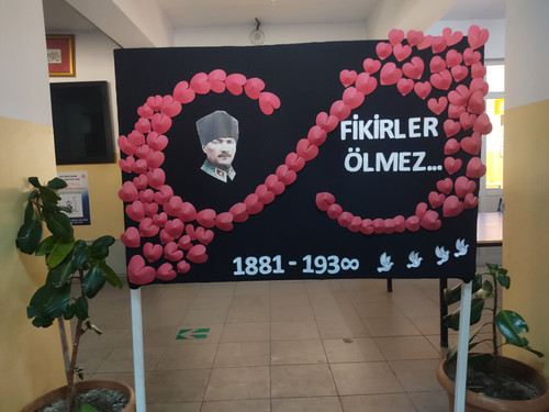 IMG 20241108 114533.jpg