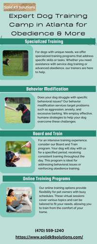 Expert Dog Training Camp in Atlanta for Obedience & More.jpg