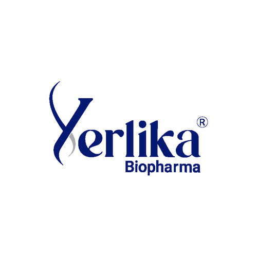 Yerlika Logo.png