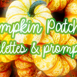pumpkinfive2024