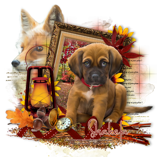 16 Awesome Artist Sept 29 Oct 5 Shakela.png
