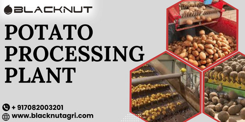 Best Potato Processing Plant Blacknut.jpg