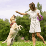 Expert Dog Behavior Specialist in Atlanta Top Trainers.gif