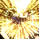64.gif