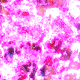 98.gif