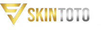 logo skintoto.png