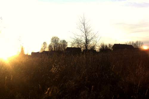 IMG 2736.jpg