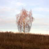 IMG 2747 1b