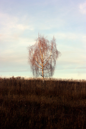 IMG 2744.jpg