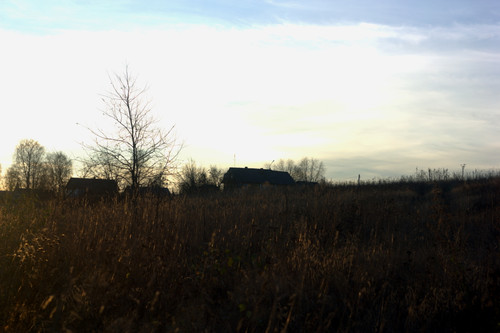 IMG 2733.jpg