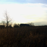 IMG 2733