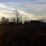 IMG 2734