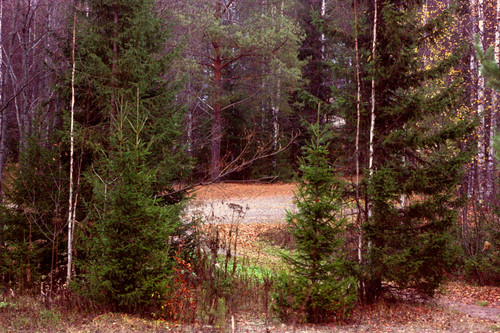 IMG 2688.jpg