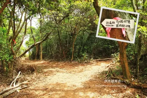 00016 新埔鎮文山步道.webp