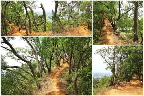 00014 新埔鎮文山步道.webp