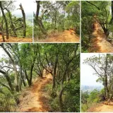 00014 新埔鎮文山步道