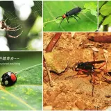 00005 新埔鎮文山步道