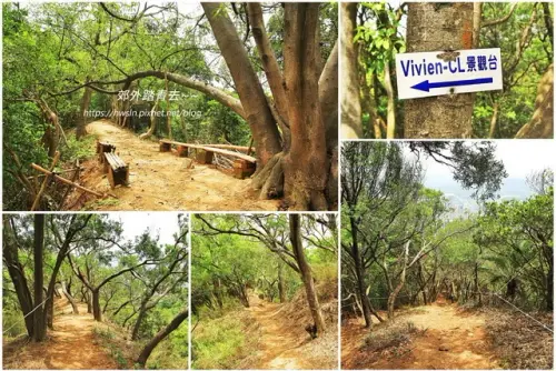 00018 新埔鎮文山步道.webp