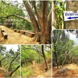 00018 新埔鎮文山步道