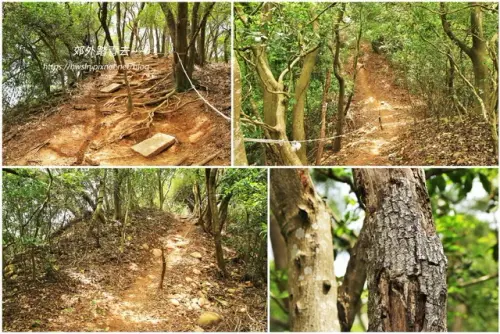 00011 新埔鎮文山步道.webp