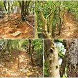 00011 新埔鎮文山步道