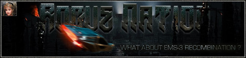 Spinner Banner.jpg