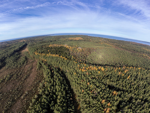 DJI 0001 5 Pano.jpg