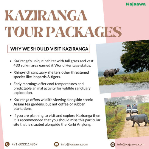 Kaziranga Tour Packages.jpg